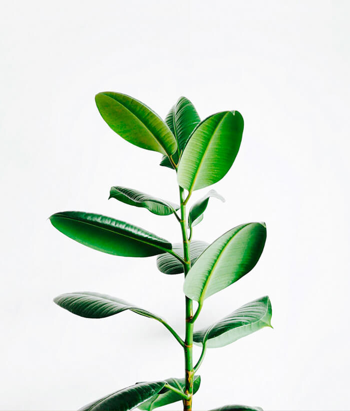 demo-it-business-portfolio-06